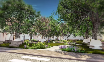 TRANQUIL GARDEN