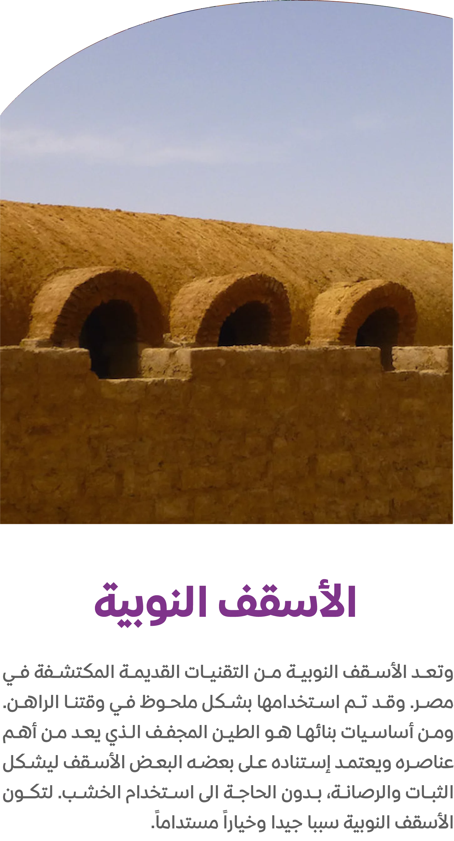 اسقف نوبيه